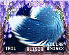 ⟡ Snöw Tail