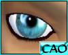 CAO Aqua Blue Eyes (M)