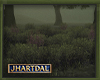 JL Group of shrubs