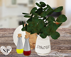 Kitchen Counter Items