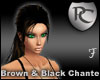 Brown & Black Chante