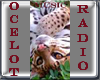 !F! Ocelot Radio