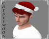 *CM*SANTA HAT-M-RED