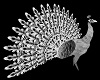 Animated White Peacock