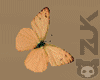乙 Butterflyes Animated