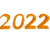 DRV New Year 2022