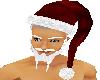 BT santa beard mustache