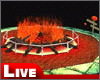 !live-Halloween Bonfire