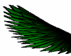darkgreen faded wings