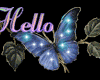 Hello Butterfly