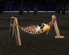 wooden beach hammock