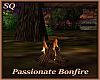 Passionate Bonfire