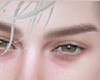 ☼ Dan Boy Eyebrows