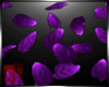 [NP]purple Petals rose