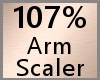 Arm Scaler 107% F A