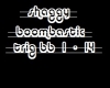 shaggy boombastic 