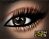 CoCoa | Mesh Eyes
