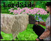 L* Sheep Animated