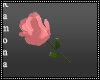 Pink Rose Hand