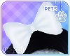 [Pets] Amanda | head bow