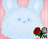蝶 Blue Head Bunny