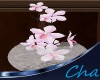 Cha`LH Orchid In A Bowl