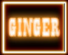 GINGER COOKIES PARTICLE