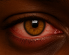 Asteri Eyes v
