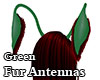 Green Fur Antennas