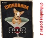 chihuahua poster 2