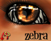 Wild.Eyes Zebra (m)