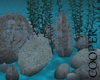 !A sea ​​stones