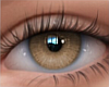 EYES MIEL