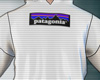 Patagonia Hoodie $