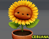 Cute Sunflower Pot