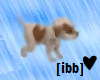 [ibb] heart puppy