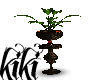 [kiki]rare plant stand