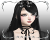 ✧･ﾟGISELLE Black