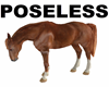 HORSE POSELESS