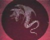 Dragon inside circle