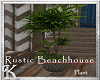 K! Beachhouse plant