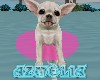 ChihuahuaFloat Neon Pink