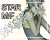 STAR GOLD EFF Ani M/F
