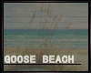 !❤GOOSE_BEACH_COUCH