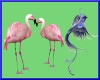 flamingo & exotic bird