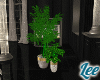 Perfecrt~Plants