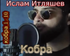 Islam Itljashev Kobra