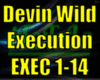 *DW&SS Execution*