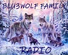 Blu3Wolf Radio Link