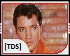 [TDS]Elvis P-What A Wond